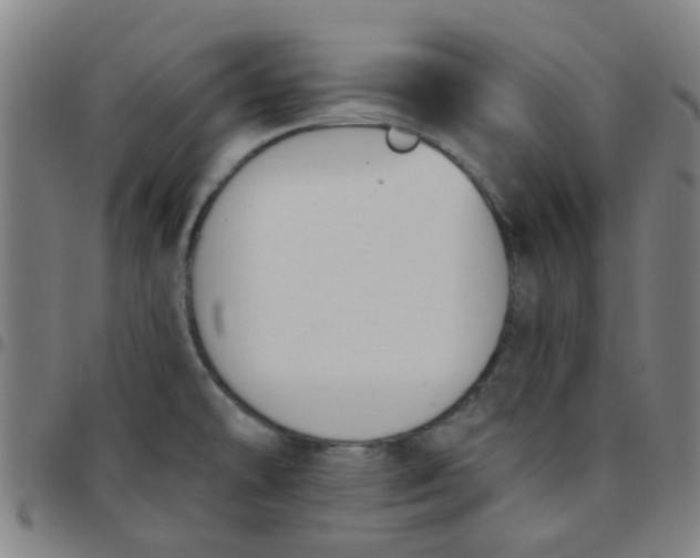 X0000097491478200803071728