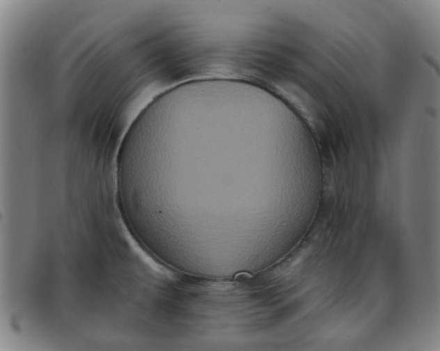 X0000097491479200803071728