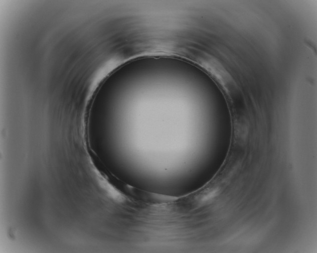 X0000097491480200803071728