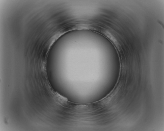 X0000097491481200803071728