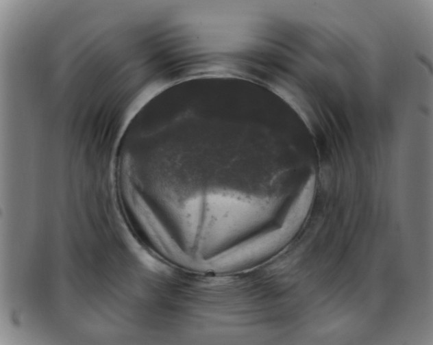 X0000097491482200803071728