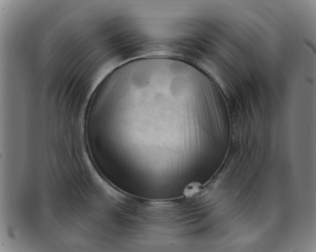 X0000097491483200803071728