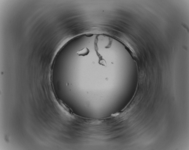 X0000097491484200803071728