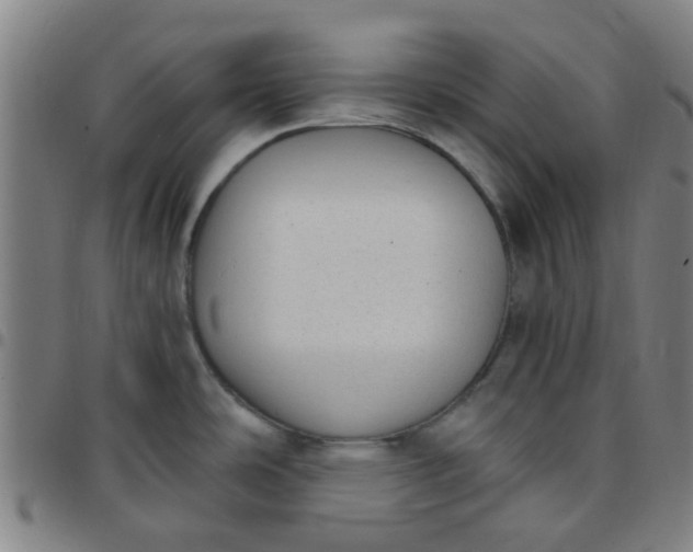 X0000097491486200803071728