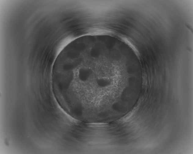 X0000097491487200803071728