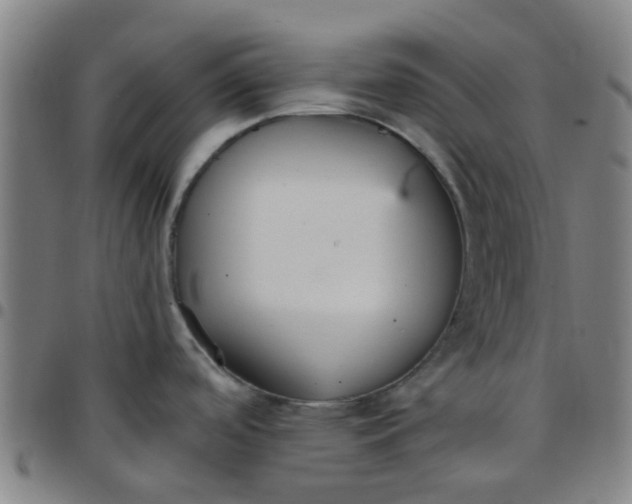 X0000097491488200803071728