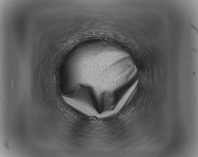 X0000097491489200803071727