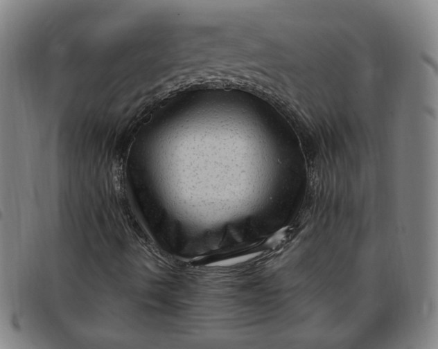 X0000097491490200803071727