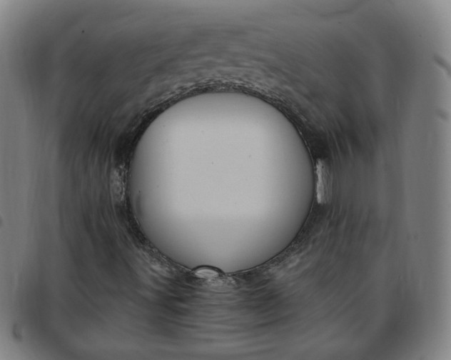 X0000097491491200803071727