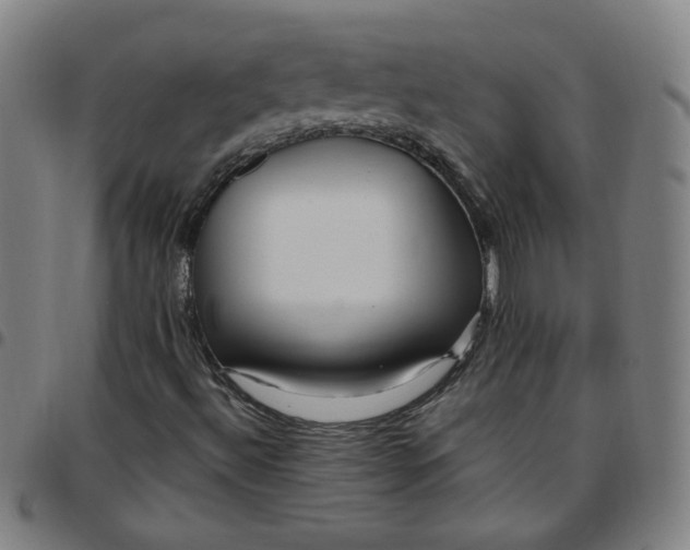 X0000097491492200803071727