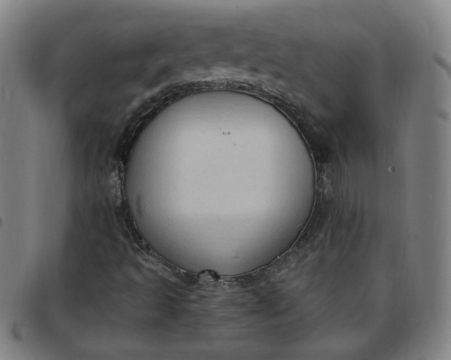 X0000097491493200803071727