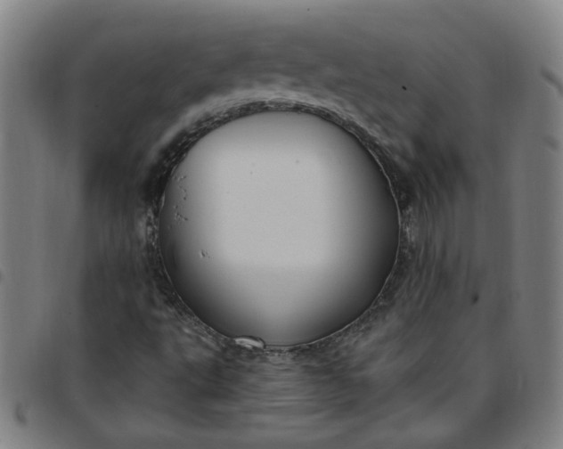 X0000097491495200803071727