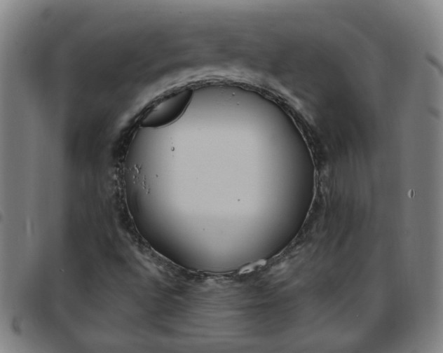 X0000097491496200803071727