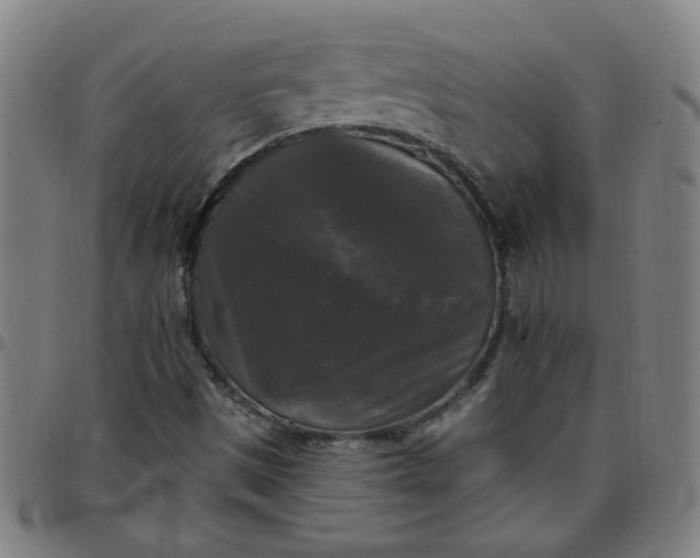 X0000097491497200803071727