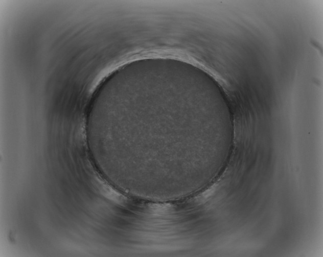 X0000097491498200803071727