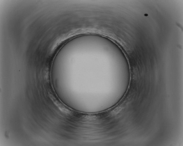 X0000097491499200803071727