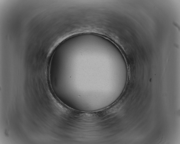 X0000097491500200803071727