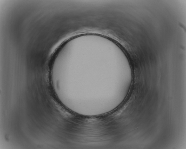 X0000097491502200803071727