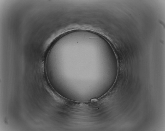 X0000097491503200803071727