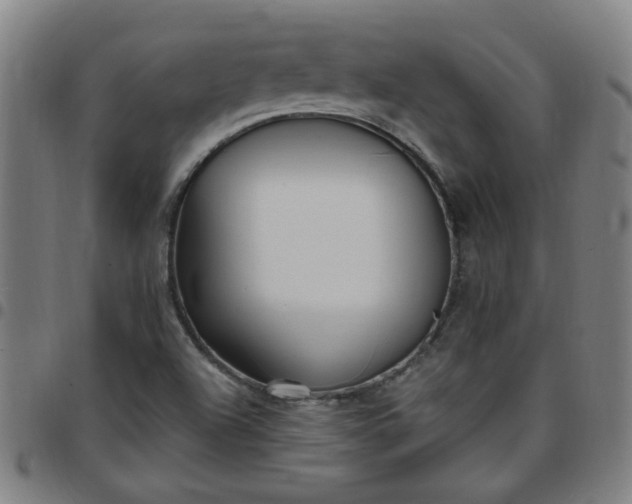 X0000097491504200803071727