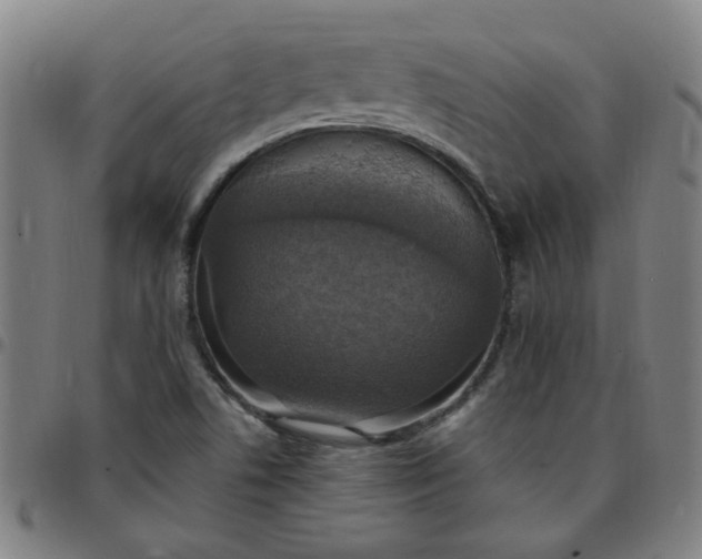 X0000097491506200803071727