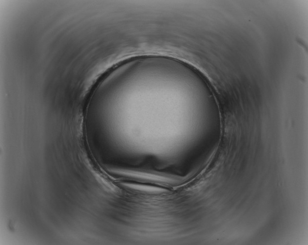 X0000097491507200803071727