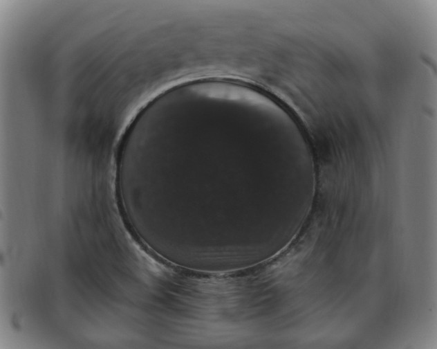 X0000097491508200803071727