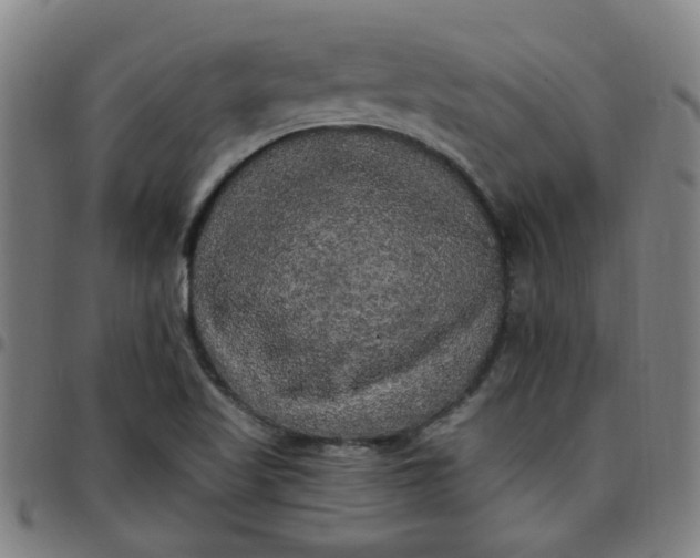 X0000097491509200803071727