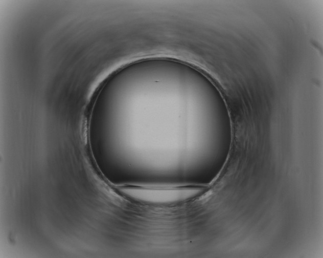 X0000097491510200803071727