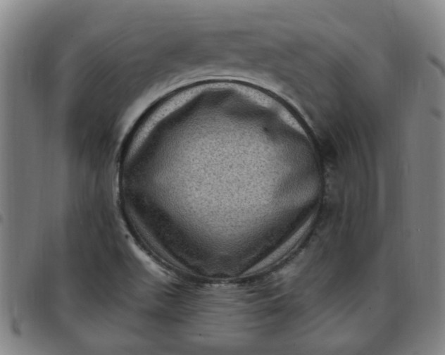 X0000097491511200803071727