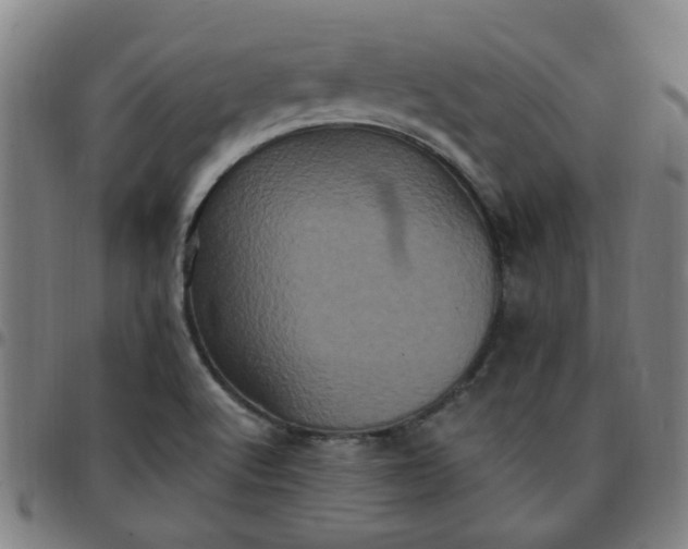 X0000097491512200803071727