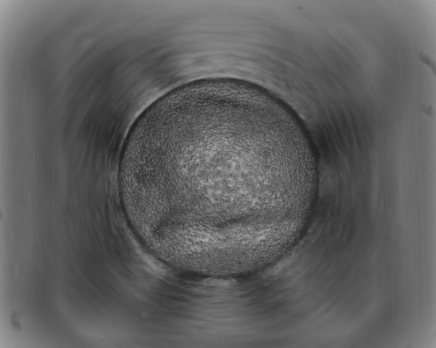 X0000097491513200803071727