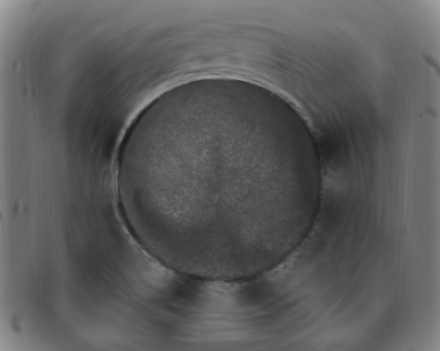 X0000097491514200803071727