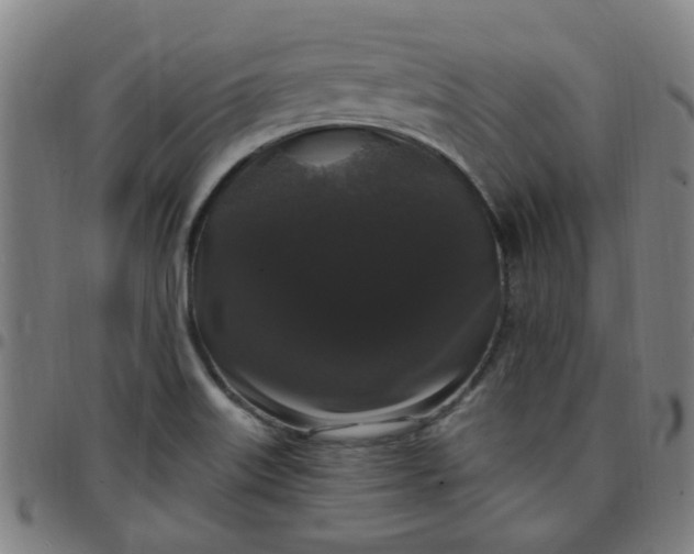 X0000097491515200803071727