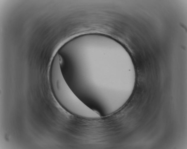 X0000097491516200803071727