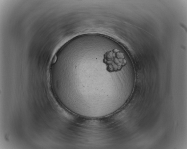 X0000097491517200803071727