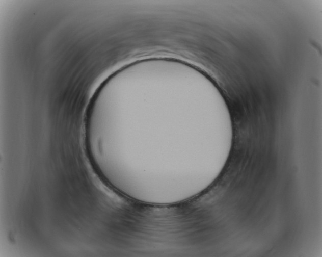 X0000097491518200803071727