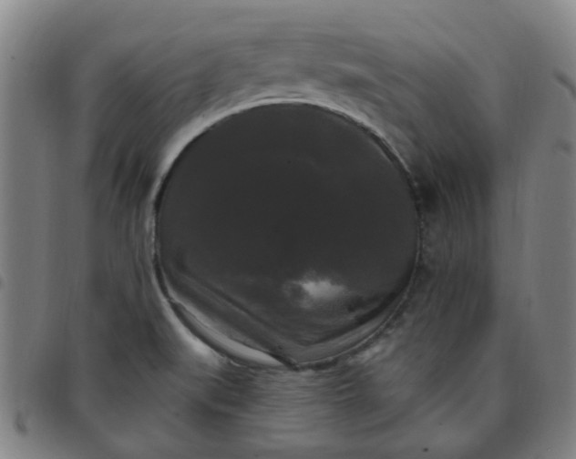 X0000097491519200803071727