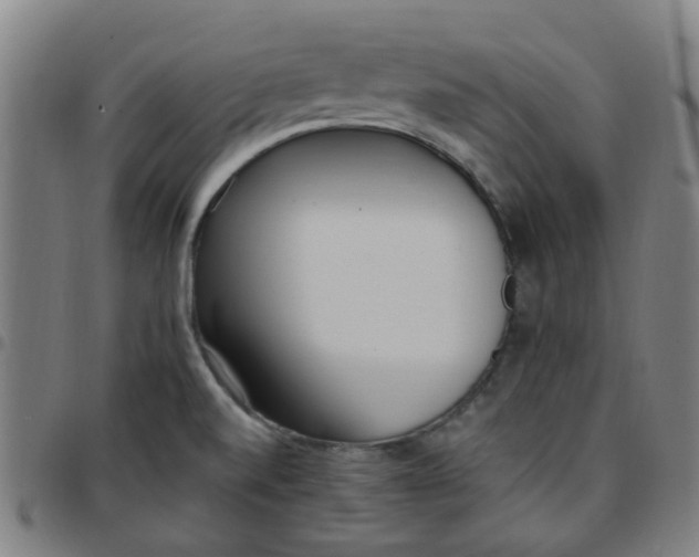 X0000097491520200803071727