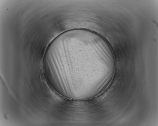 X0000097491521200803071727