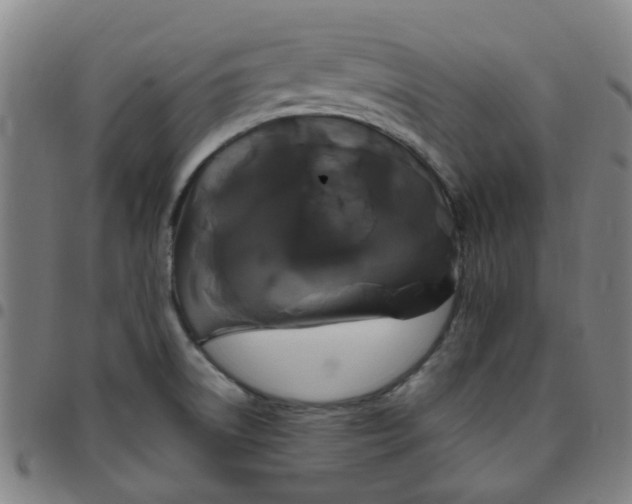 X0000097491522200803071727