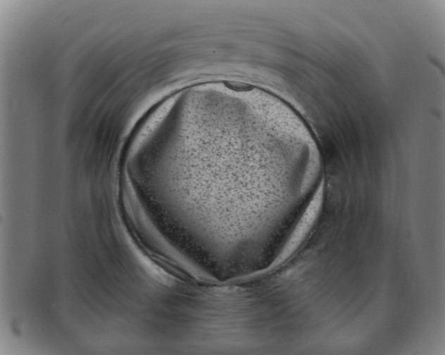 X0000097491523200803071728