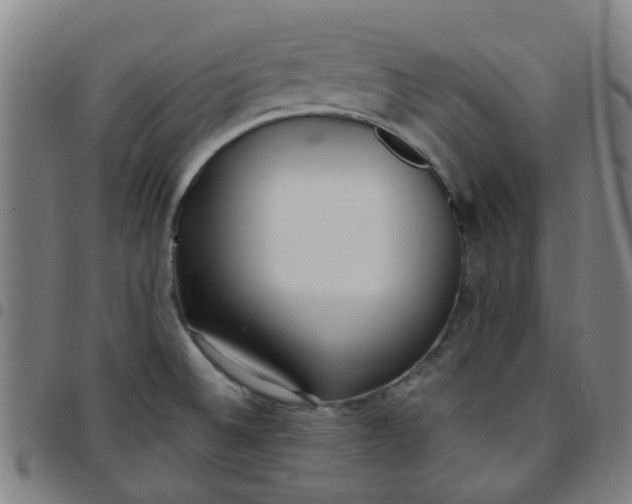 X0000097491524200803071728