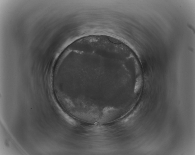 X0000097491525200803071728