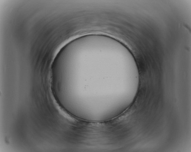 X0000097491526200803071728