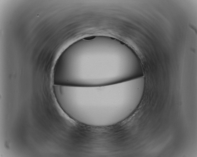 X0000097491528200803071728