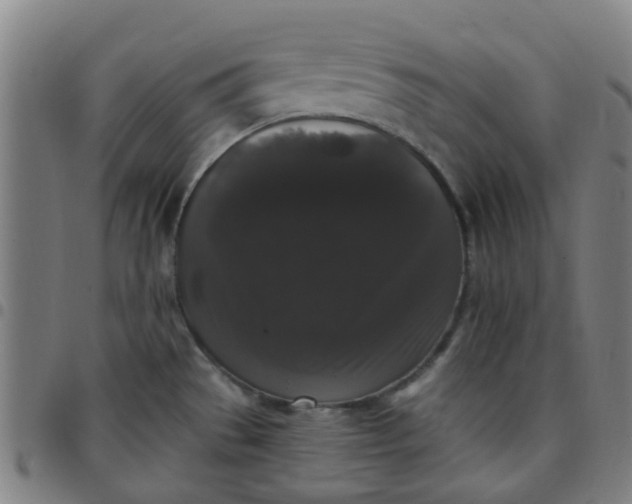 X0000097491529200803071728