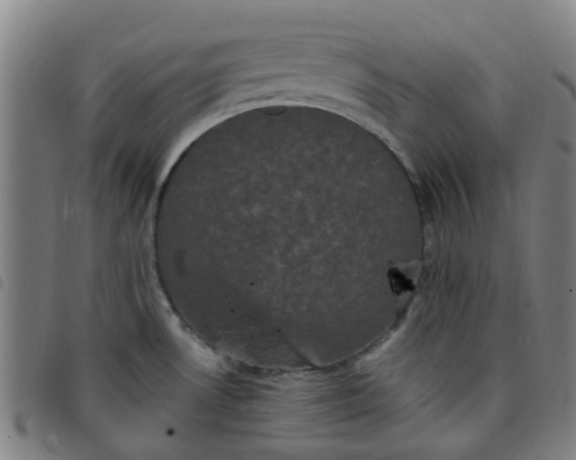 X0000097491530200803071728