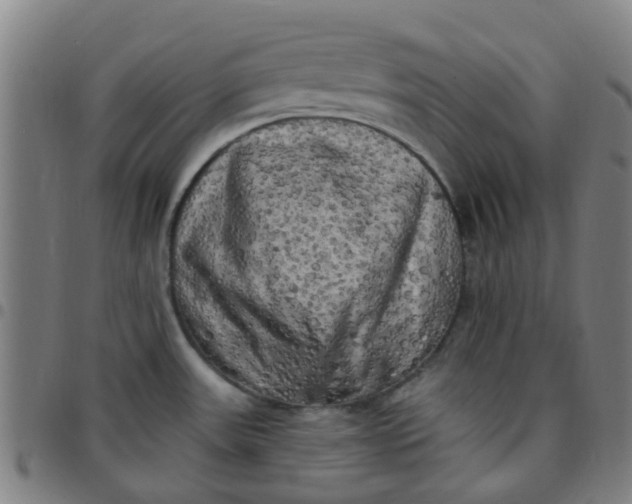 X0000097491531200803071728