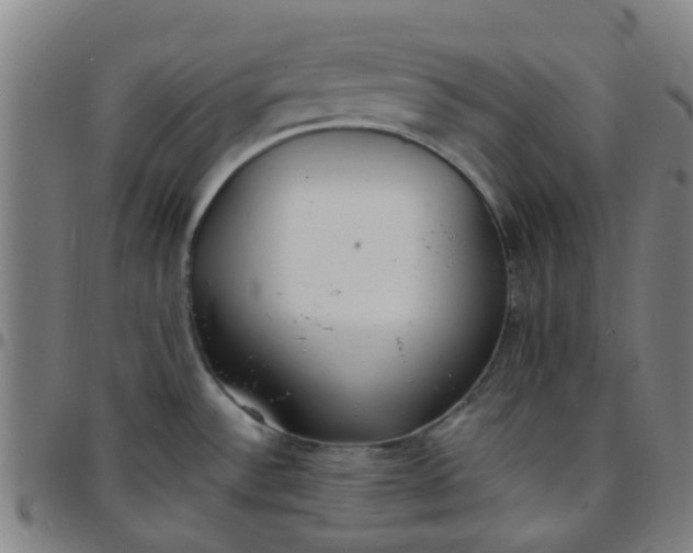 X0000097491532200803071728